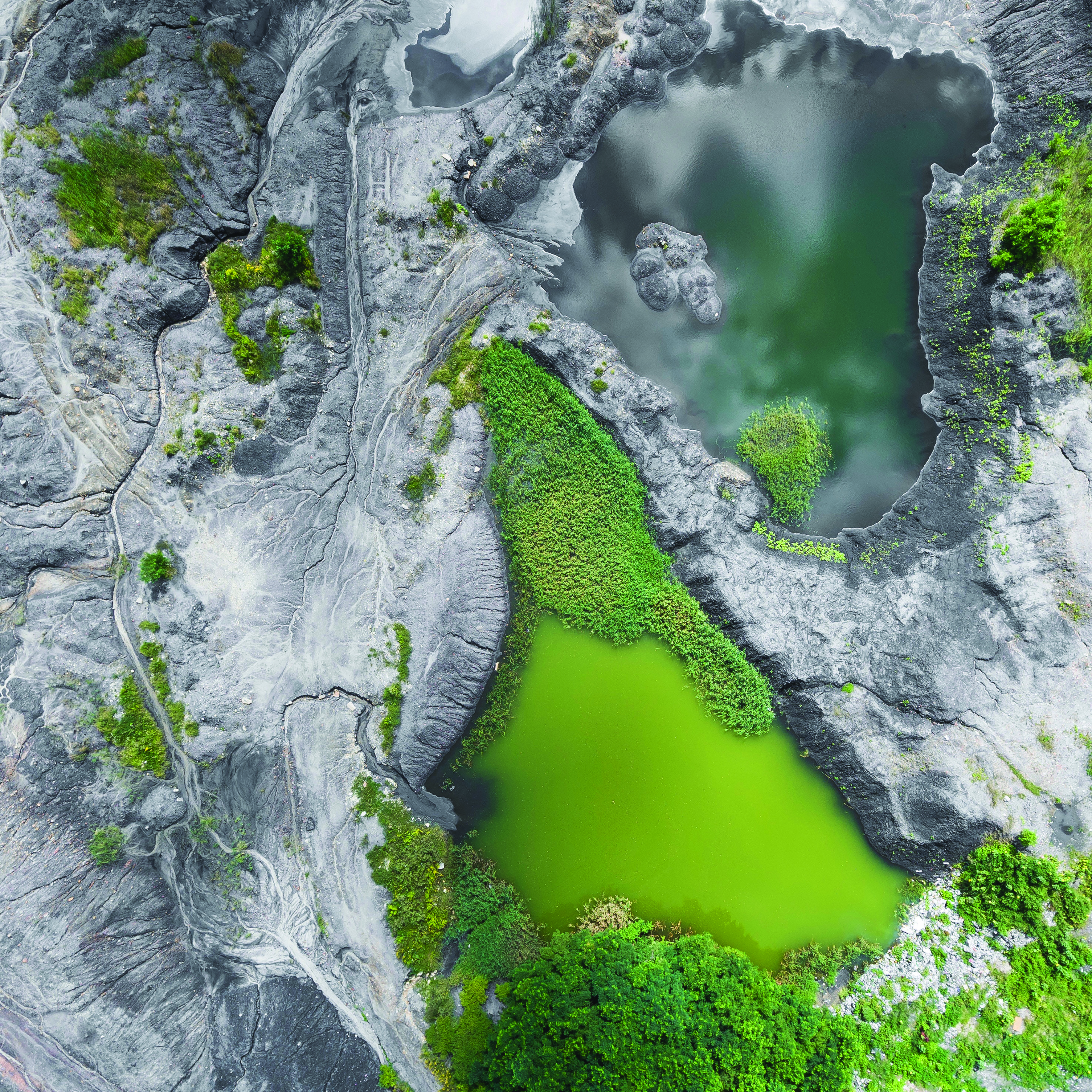 green design